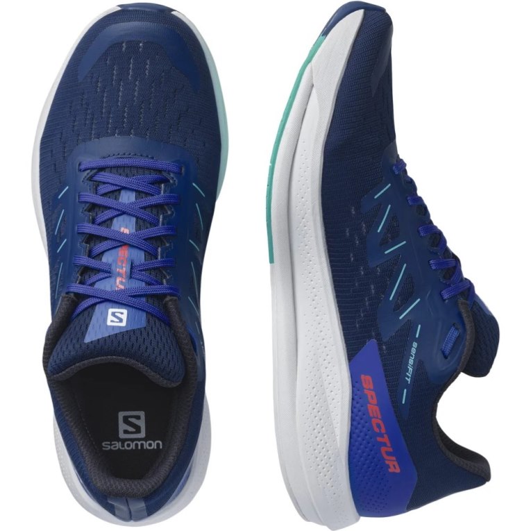 Salomon Spectur Men's Running Shoes Blue | CA 29W83